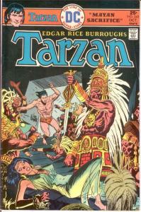 TARZAN 242 VG-F  ADAPTS TARZAN & THE CASTAWAYS! COMICS BOOK