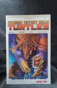 Teenage Mutant Ninja Turtles #20 (1989)