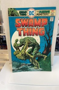 Swamp Thing #20 (1976)