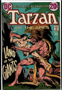 Edgar Rice Burroughs' Tarzan #211 (1972)