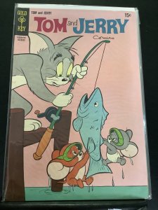 Tom and Jerry #247 (2008)