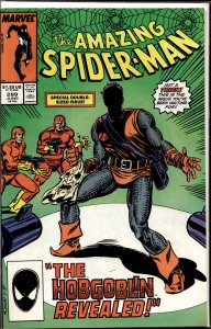The Amazing Spider-Man #289 (1987) Spider-Man [Key Issue]