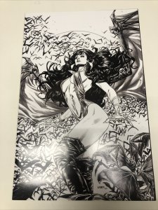 Vengeance Of Vampirella (2021)#21 Variant (NM) Dynamite Entertainment •Sniegoski