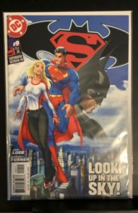 Superman/Batman #9 (2004)