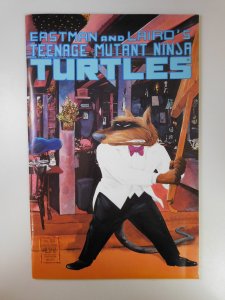 Teenage Mutant Ninja Turtles #23 (1989)
