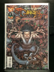 The Darkness #14 (2004)