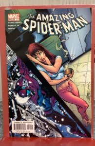 The Amazing Spider-Man #52 (2003)