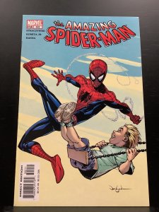 The Amazing Spider-Man #502 (2004)