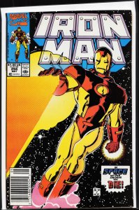 Iron Man #256 (1990) Iron Man