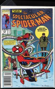 The Spectacular Spider-Man #173 Newsstand Edition (1991) Spider-Man