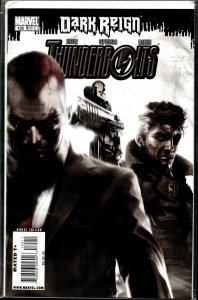 Thunderbolts #135  (2009) Thunderbolts