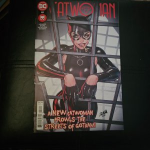 Catwoman 51 52 53 54 55 Collector's Set David Nakayama Joshua Swaby NM