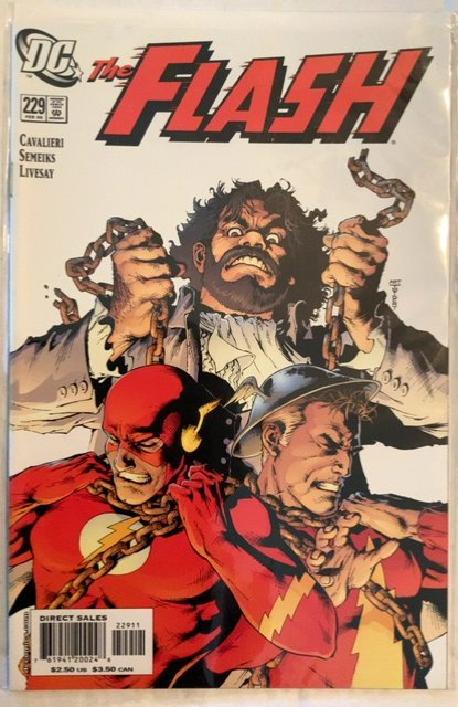 The Flash #229 (2006)