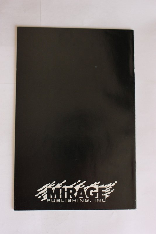 Teenage Mutant Ninja Turtles #39 (1991) Mirage NM