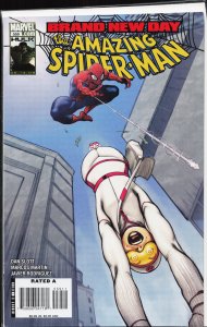The Amazing Spider-Man #591 (2009)