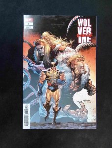 Wolverine Revenge #4D  Marvel Comics 2025 NM+  1:25 Ottley VARIANT