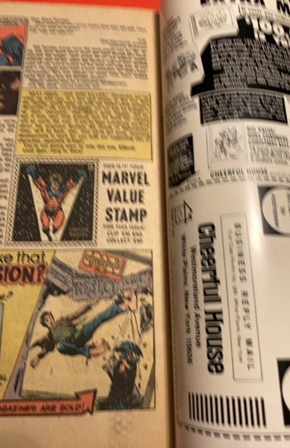 Jungle Action #12 (1974)black panther vs killmonget