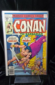 Conan the Barbarian #76  (1977) Conan 