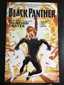 Black Panther: A Nation Under Our Feet #2 (2017)