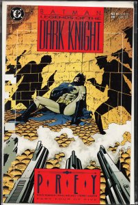 Legends of the Dark Knight #14 (1991) Batman