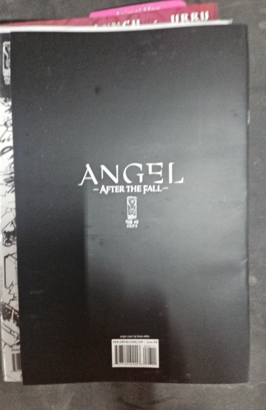 Angel After the Fall #8 RI COVER B