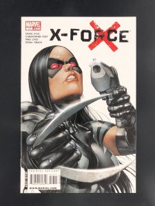 X-Force #17 (2009)