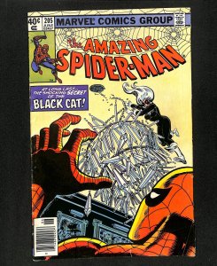 Amazing Spider-Man #205 Black Cat!