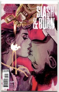 Slash & Burn #3 (2016)