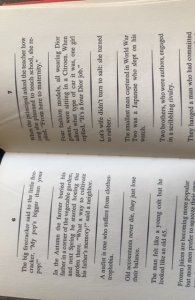 The littlePun book, 1960, MARGOLIN