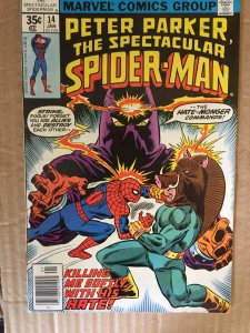 Peter Parker The Spectacular Spider-Man #14