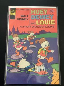 Huey, Dewey and Louie Junior Woodchucks #41 (1976)