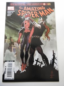 The Amazing Spider-Man #585 (2009)