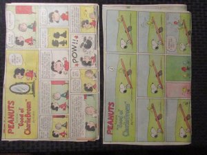 1977 PEANUTS Featuring Charlie Brown Sunday 1/2 pg. Comic Strip LOT of 8 VG (CC)