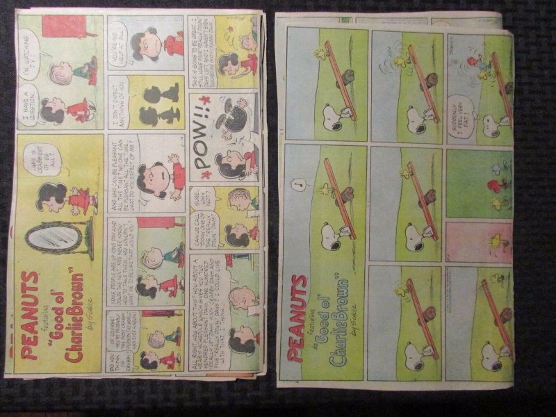 1977 PEANUTS Featuring Charlie Brown Sunday 1/2 pg. Comic Strip LOT of 8 VG (CC)