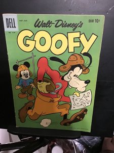 goofy high