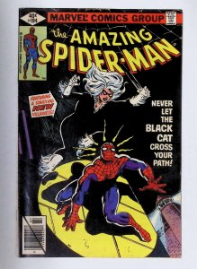 The Amazing Spider-Man #194 (1979) Spider-Man [Key Issue] VF Condition