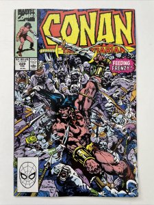 Conan The Barbarian 229