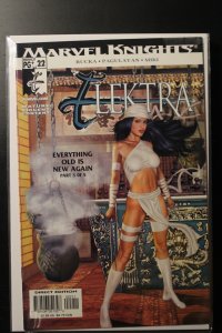 Elektra #22 (2003)
