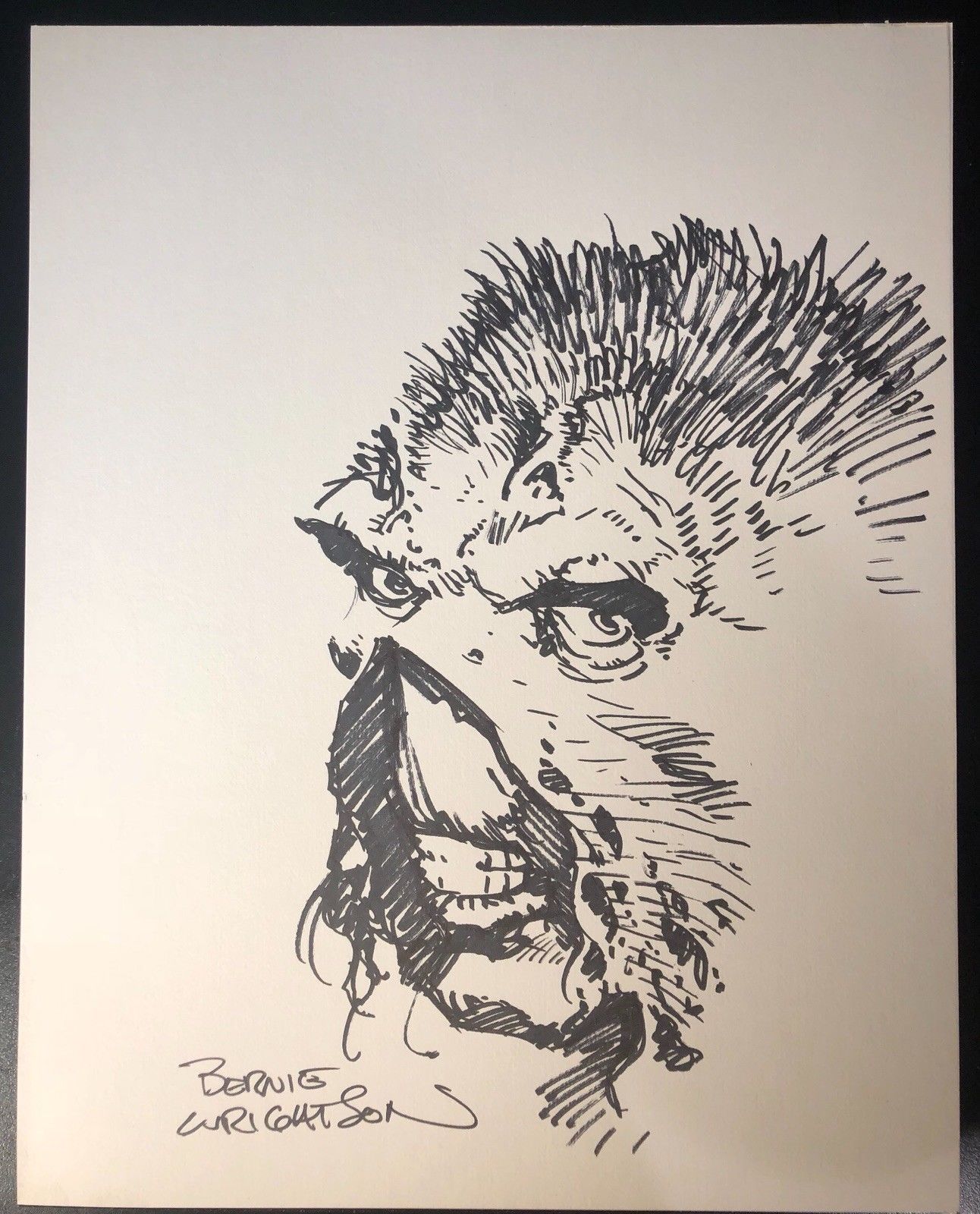 Bernie Wrightson Swamp Thing Ink Drawing Original Art 1999  Lot  12597  Heritage Auctions