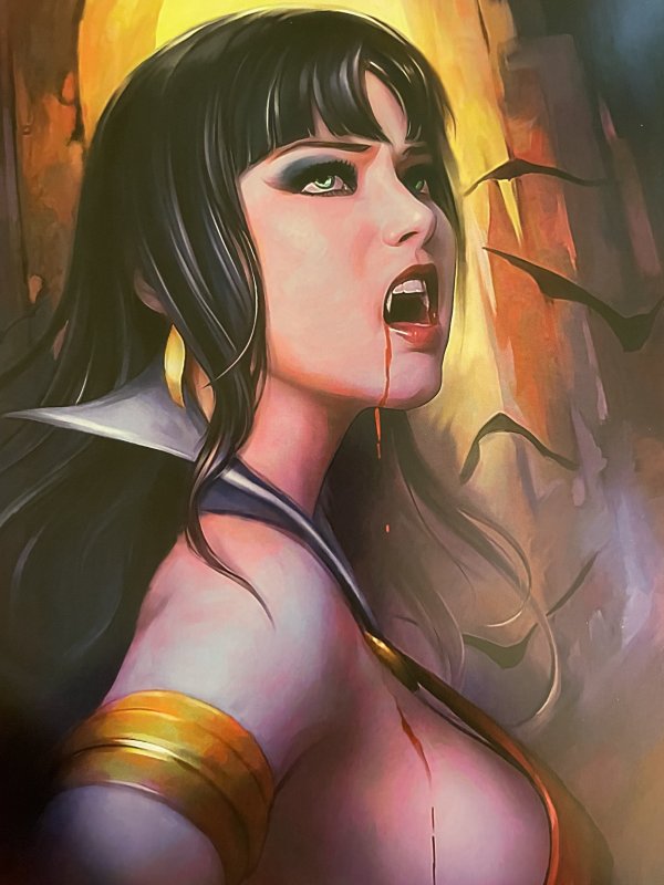 VAMPIRELLA #21 SHANNON MAER EXCLUSIVE VIRGIN COVER LTD 500 NM+