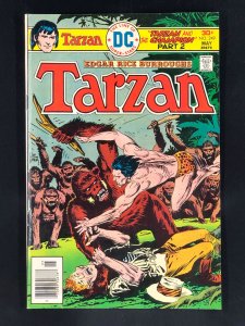 Edgar Rice Burroughs' Tarzan #249 (1976)