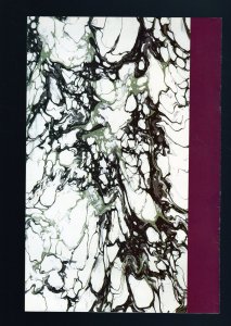 Turtle Soup, Book #2 - Michael Dooney Art and Story. (8.0/8.5) 1991