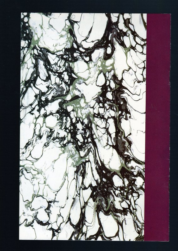 Turtle Soup, Book #2 - Michael Dooney Art and Story. (8.0/8.5) 1991