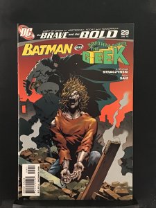 The Brave and the Bold #29 (2010)