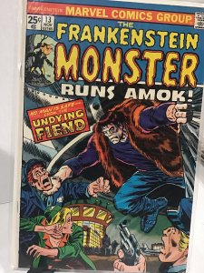 The Frankenstein Monster #13 (1974)