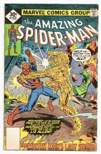 Amazing Spider-Man #173 VINTAGE 1977 Marvel Comics Molten Man