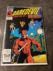 Daredevil #258 (1988)