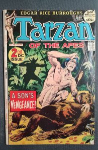 Edgar Rice Burroughs' Tarzan #208 (1972)