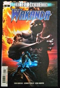 The Last Annihilation: Wakanda (2021)