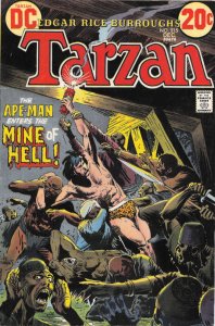 Tarzan (DC) #215 COVERLESS ; DC | low grade comic Joe Kubert